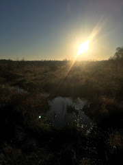 Wet Winter Morning - Thomas Barton