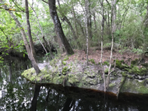 Across the Creek - Clint Shivers